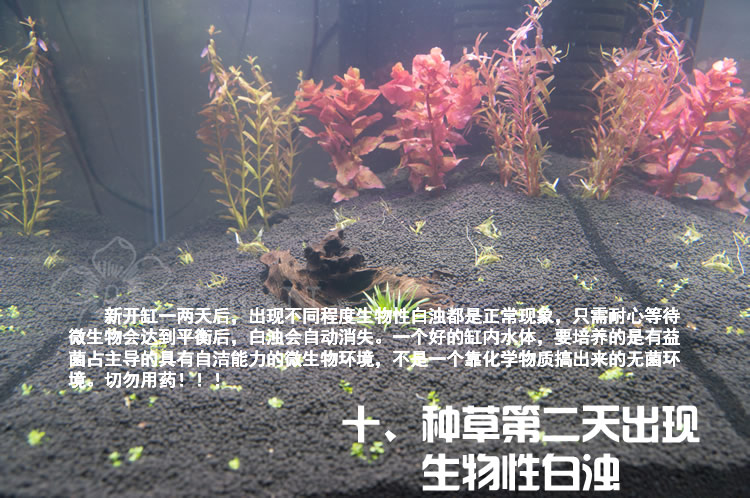 出现白浊