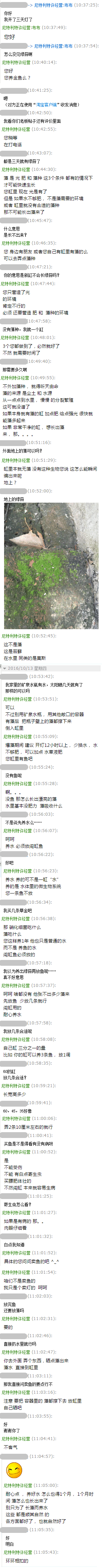 绿苔聊天